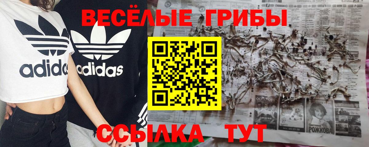 Галлюциногенные грибы Cubensis  Вход с VPN  Ликино-Дулёво  Галлюциногенные грибы Psilocybe 