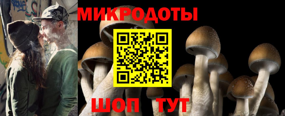 Галлюциногенные грибы прущие грибы Ликино-Дулёво